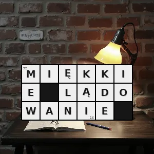 Hasło krzyżówkowe lądowanie bezpieczne dla osób znajdujących się na pokładzie - miękkie lądowanie – rozwiązanie, synonimy, podpowiedzi i definicje krzyżówkowe